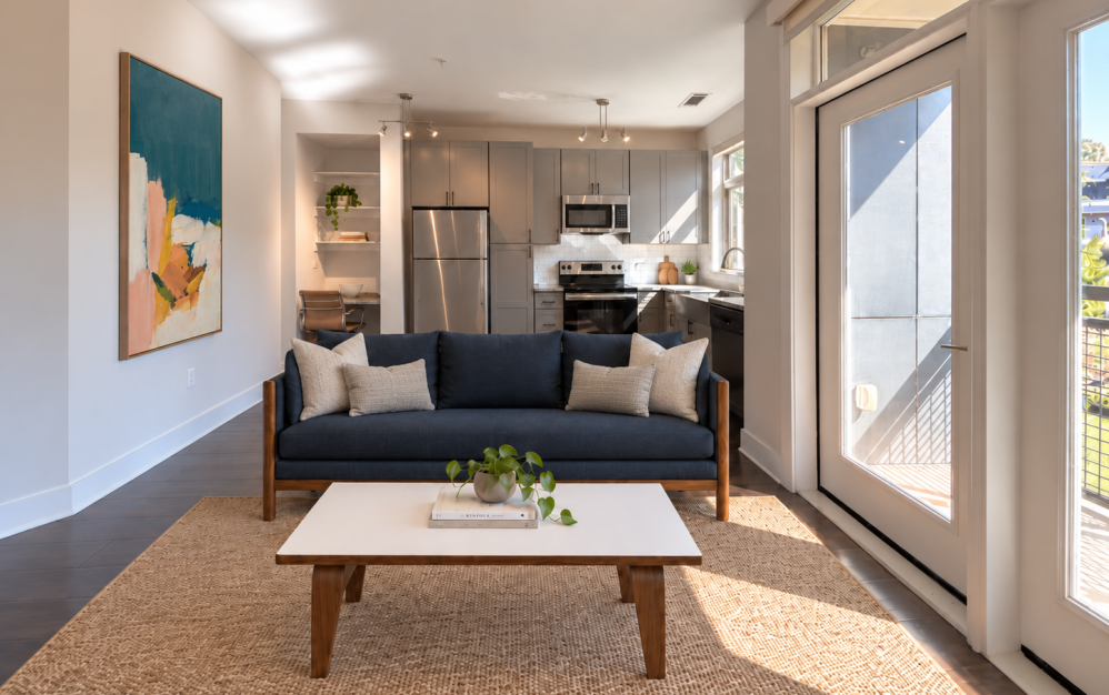 Furnished Living Room and Kitchen